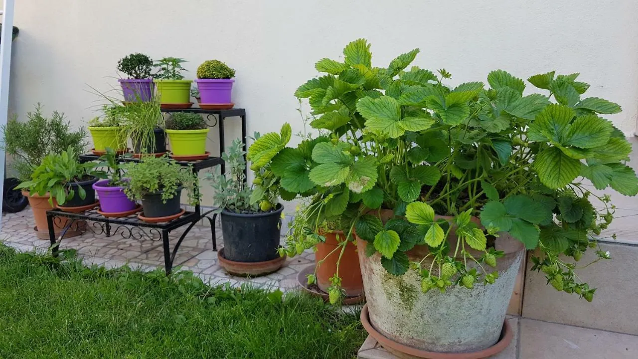 Holiday home Ca' Del Mate Guest House San Giovanni Lupatoto